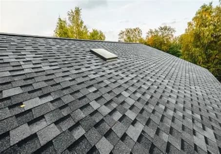 Roof Soft Wash